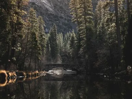 Focus, Intention & Gratitude Meditation To Start Your Day