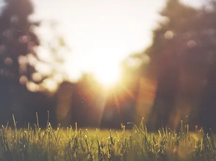 Focus Meditation And Relaxing Golden Light Visualization