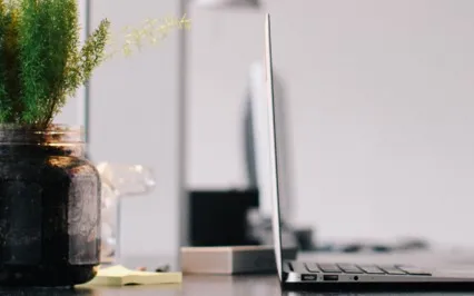 Focus Mood - Calm Office Music