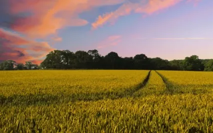 Focus Music - 20-Minute Atmospheric Binaural Music 