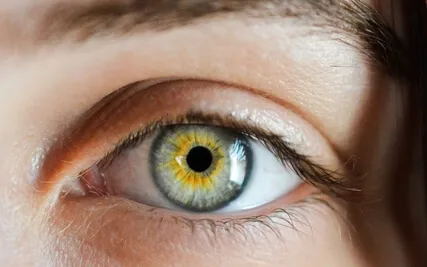 Focus Music: Amazing Concentration Music