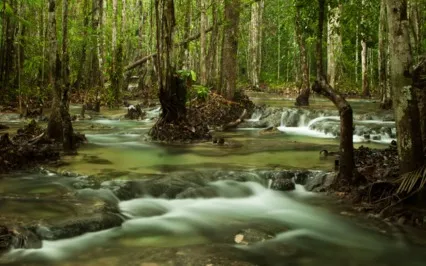 Focus Music - Amazingly Relaxing Background Music