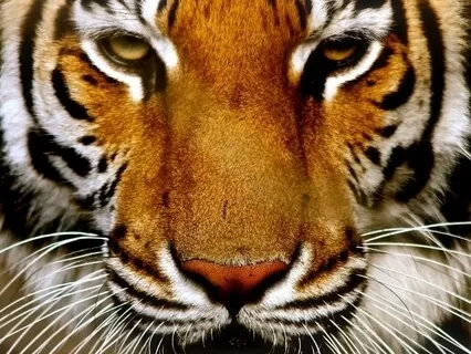 Focus Music - Ambient Soft Music For Study