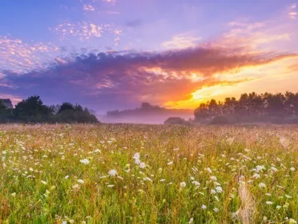 Focus Music - Ambient Soothing Music