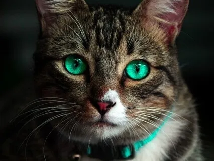 Focus Music - Binaural Beats For Focus Memory