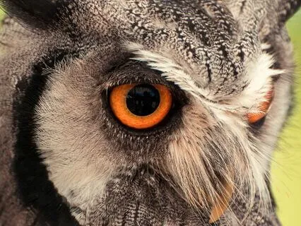 Focus Music - For Better Concentration & Memory