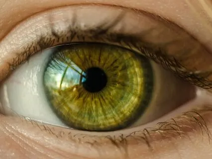 Focus Music For Concentration With Binaural Beats