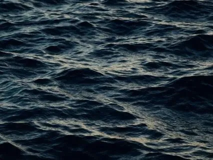Focus Music For Those Who Move In Silence
