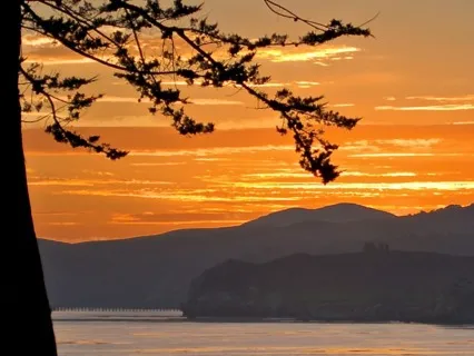 Focus Music - Instrumental Peaceful Sounds