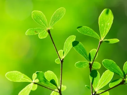 Focus Music - Productivity Work Music