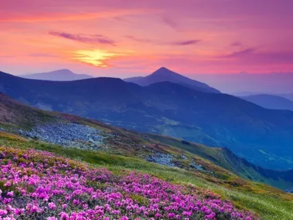 Focus Music - Pure Binaural Beats