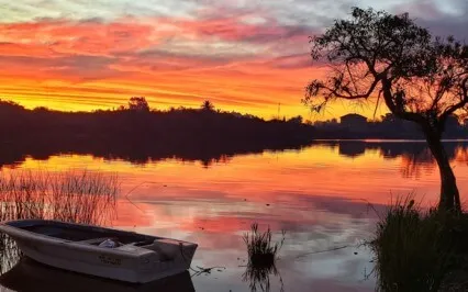 Focus Music - Pure Soft Binaural Beats