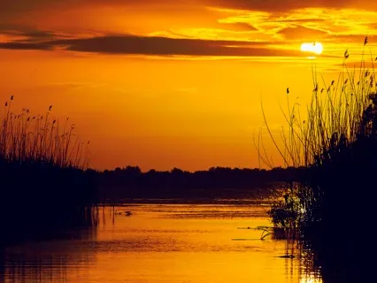 Focus Music - Relaxing Alpha Waves