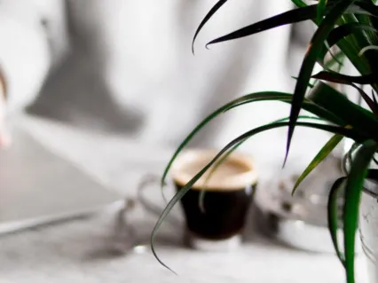 Focus Music: Restful And Peaceful Office Music