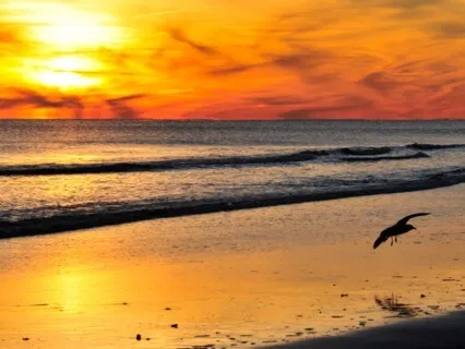 Focus Music - Serene Background Music