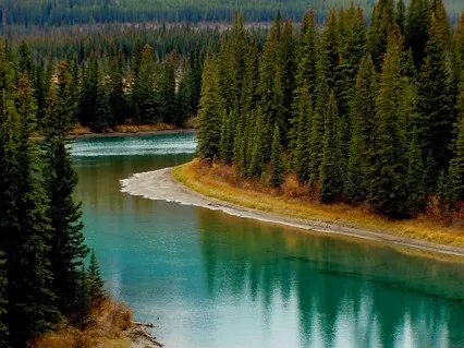 Focus Music - Soothing Binaural Beats