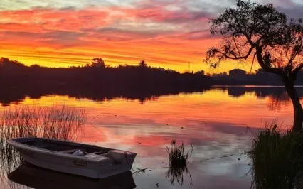 Focus Music - Totally Calming Background Music