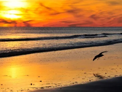 Focus Music - Tranquil Sound With Binaural Beats