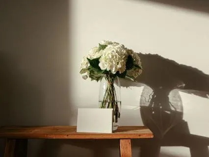 Focus Music: Warm Strings In Morning Light