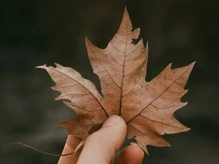 Focus Object Meditation - The Art Of Gentle Attention