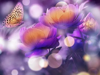 Focus on 4 Powerful Attitudes Meditation