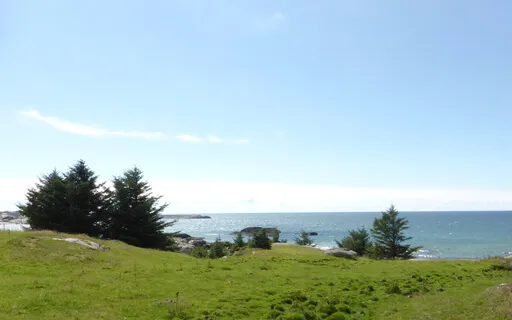 Focus On Breath For Recentering, Letting Go And Relaxation