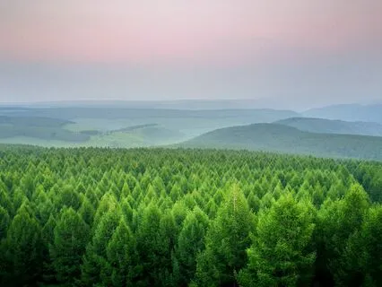 Focus On Loving Yourself