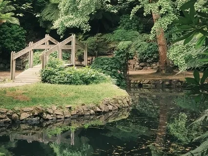 Focus On The Good Meditation