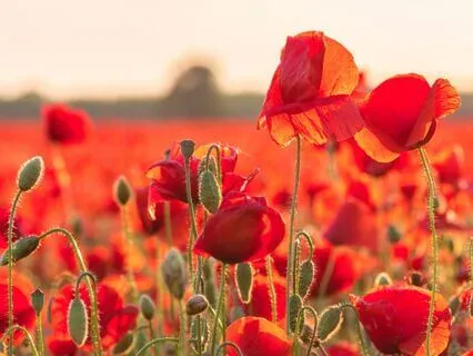 Focus On The Present Moment Meditation