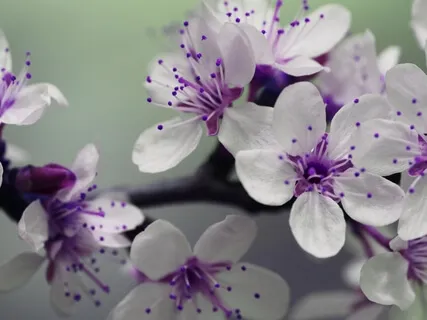 Focus On The Present Moment (With Ocean Sounds)