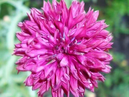 Focus On Your Center