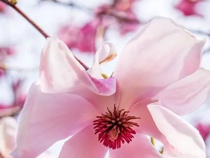 Focus & Presence For Wintertime : Time-Friendly Affirmations