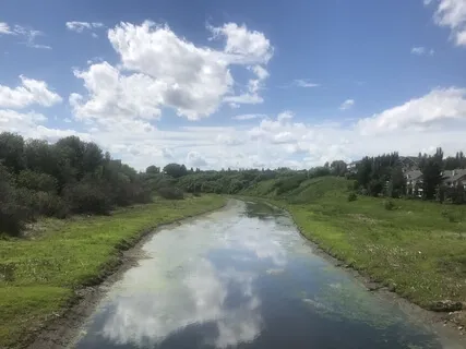 Focus, Release, And Flow