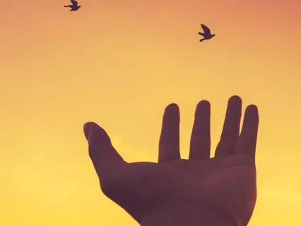 Focus - Release What Isn't Yours