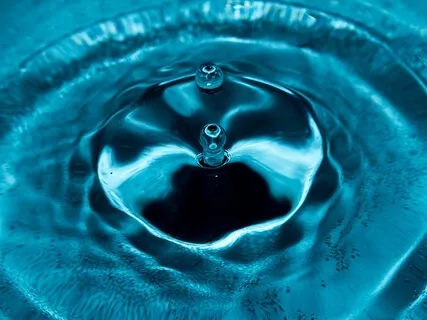 Focus - Returning To The Now