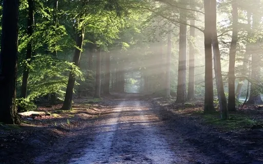 Focus To Find Intentions For A Beneficial Future