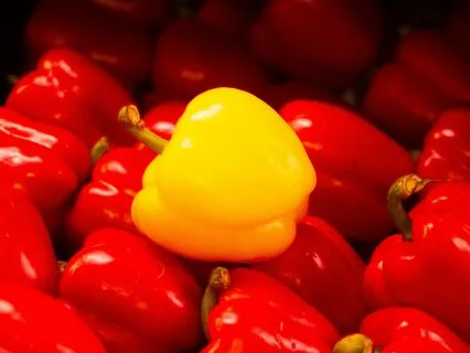 Focus Vs Multitasking