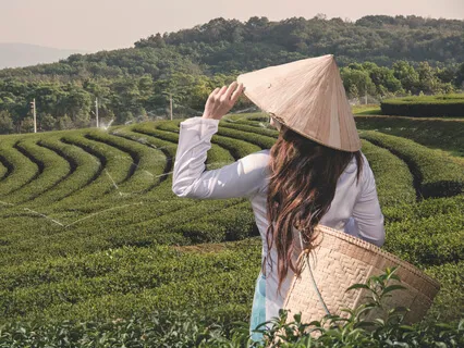 Focused Attention Meditation