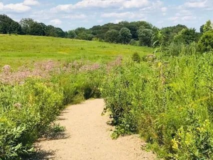 Focused Attention Meditation