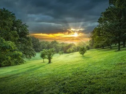 Focused Calm: Anxiety-Free Concentration