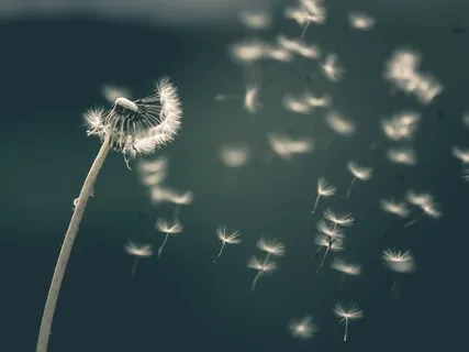 Focused, Clear And Calm