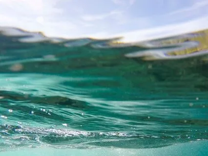 Focused & Fearless: 15 Hz Beta Waves for Peak Performance