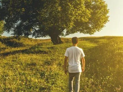 Focused Harmony Music For Meditation