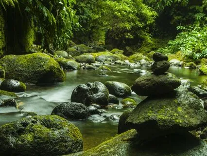 Focused Mind: 1 Hour Of Binaural Beats & Calming Stream