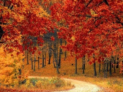 Focused Moments Music For Concentration