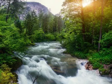 Focused Relaxation: Anxiety-Free Concentration