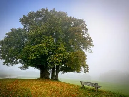 Focusing: An Introduction To The Six Steps