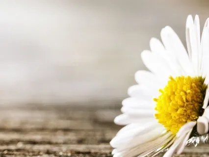Focusing On Love In Times Of Fear