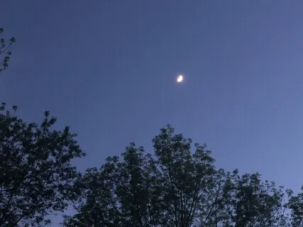 Focusing On Your Senses