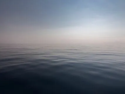 Focusing Your Attention Here And Now